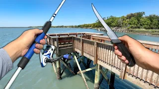 Eating Whatever I Catch! PIER Fishing and Crabbing! (Catch and Cook)