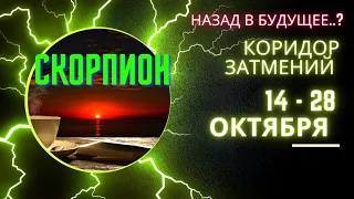 СКОРПИОН♏КОРИДОР ЗАТМЕНИЙ🌈СОЛНЕЧНОЕ И ЛУННОЕ ЗАТМЕНИЯ 14 - 28 ОКТЯБРЯ💫ГОРОСКОП ТАРО Ispirazione