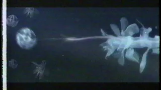 Sci Fi Channel ident bumper (2002)