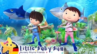 Das Haifisch Lied | Kinderlieder | Little Baby Bum Deutsch | Cartoons für Kinder