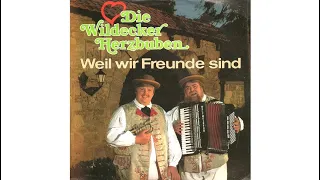 Die Wildecker Herzbuben - Weil wir Freunde sind