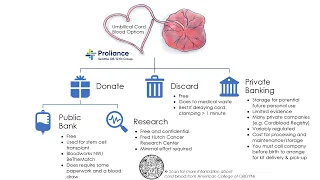 Umbilical Cord Blood: Options for after birth