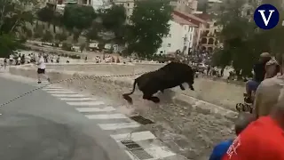 Muere un toro al precipitarse por un puente en Ontinyent durante el tradicional "Bou de les Penyes"