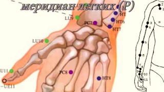 Секреты китайской медицины (5). Точка юй-цзи. Меридиан легких Р10.