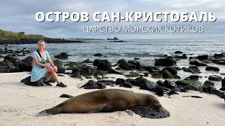 Остров Сан-Кристобаль - царство морских котиков. Галапагосские острова