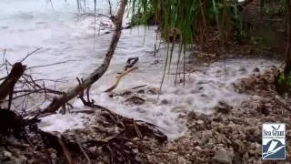 High Tide in Majuro, Marshall Islands