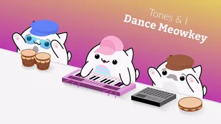 Dance Monkey 🐒 Tones and I ( Bongo cat 2021 ) мяуканьем котика - мяу!