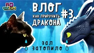 ВЛОГ #3 Как приручить Дракона 3