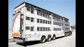 Livestock Trailer Animal Carrier | Canlı Hayvan Taşıma Aracı - OKT Trailer