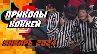 Самые смешные хоккейные видео: Январь 2024