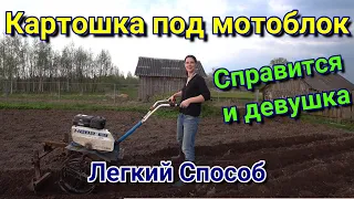 Посадка картошки мотоблоком НЕВА- легко и просто!