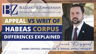 Appeal vs. 11.07 Writ of Habeas Corpus - Differences Explained