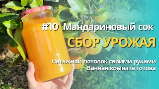 #10 Мандариновый сок. Сбор урожая | Натяжной потолок своими руками | Ванная комната готова