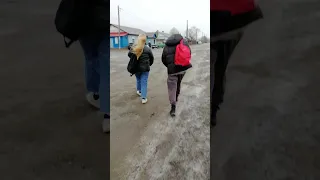 Реальная Камча! Приехали в пос.Заозёрный из Петропавловск-Камчатского на рейсовом автобусе N 24/2021