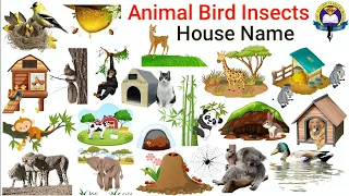 Animal House Name | Animal Instincts & Birds House Name In English With Picture | Animal Home Name