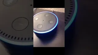 Odd Request Of Alexa 😂 People being funny for 7 seconds straight