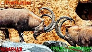 ♢ theHunter Classic ➫ Челлендж ➫ Apline Ibex vs Shotgun ➫ Альпийский козёл ♢