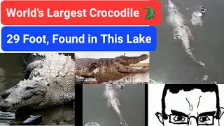 29 Ft Crocodile in Maine Lake, Worlds Largest 9 Metres