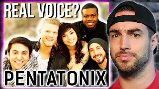 Are PENTATONIX Good? Pentatonix - Run to You Reaction