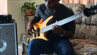 Gypsy bass (David Emanuel)