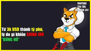 Trở thành tỷ phú nhờ SHIBA INU, 3 lý do khiến giá BÙNG NỔ