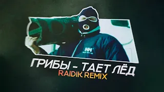 Грибы - Тает лёд (Raidik Remix)