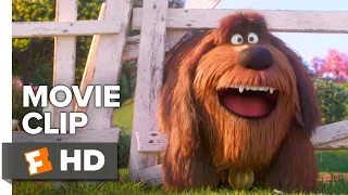 The Secret Life of Pets 2 Movie Clip - Duke is Taunted by a Cow (2019) | Movieclips Coming Soon