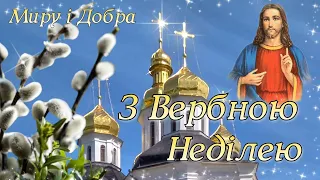 Вербна Неділя! Гарне Привітання З Вербною Неділею!