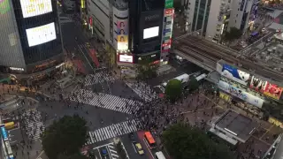 Shibuya Crossing