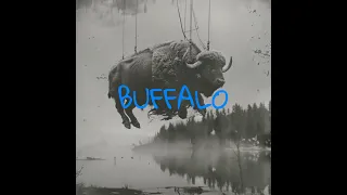 Fire Beninois - Buffalo (Official Music Video)