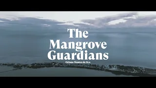 Mangrove Guardians: Empowering Women, Protecting the Future