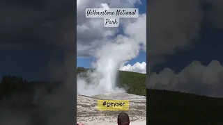 Geyser in Yellowstone National Park, USA #geyser #yellowstone