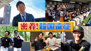 【密着】試合機会を求めて韓国へ！ホークス選手の海外遠征【潜入取材】