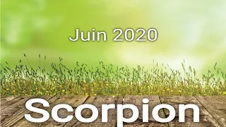 SCORPION Juin 2020 ~ Vous vous êtes trouvés !