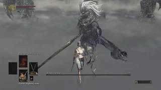 SL1 (NG+) Nameless King NO DAMAGE (sellsword twinblades) | DkS 3