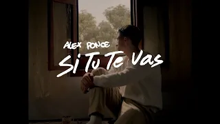 alex ponce - si tu te vas (visualizer)