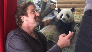 Gerard Butler and the Zoo Berlin