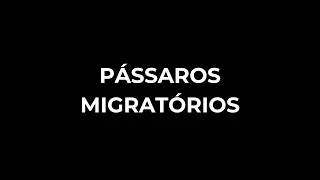 Pássaros Migratórios