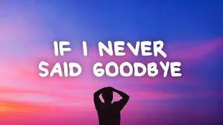 Jamie Grey - If I Never Said Goodbye (Lyrics)