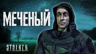 По фактам о S.T.A.L.K.E.R.: Тень Чернобыля