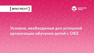 Условия, необходимые для успешной организации обучения детей с ОВЗ