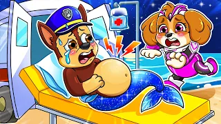 Brewing Cute Baby Mermaid - Chase Is PREGNANT?! - Paw Patrol Ultimate Rescue | Rainbow Friends 3