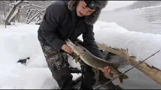 Chasing Big River Pike in COLD Water (Minnesota)