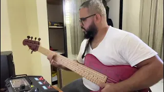 Fractal fm3 Bass guitar