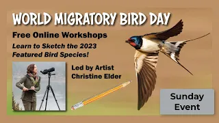 Sketching the World Migratory Bird Day Species for 2023 (part two!)