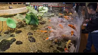 [4k] #아쿠아리움 과 #음악힐링 [4k] Aquarium beautiful fish and beautiful music