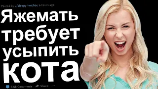 ЯЖЕМАТЬ ТРЕБУЕТ УСЫПИТЬ КОТА. ЯЖЕМАТЬ ИСТОРИИ С РЕДДИТ