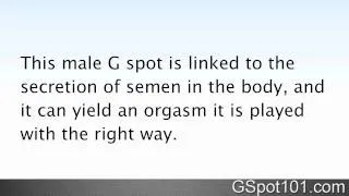 Difference between the Male G Spot and Female G Spot