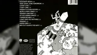 14 - Why Is It Always This Way - Rocket to Russia (1977) / Ramones