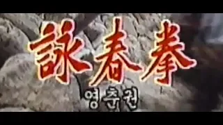 영춘권 - 번음 1994년작 MP4